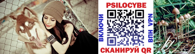 цена   Полесск  Псилоцибиновые грибы мухоморы 